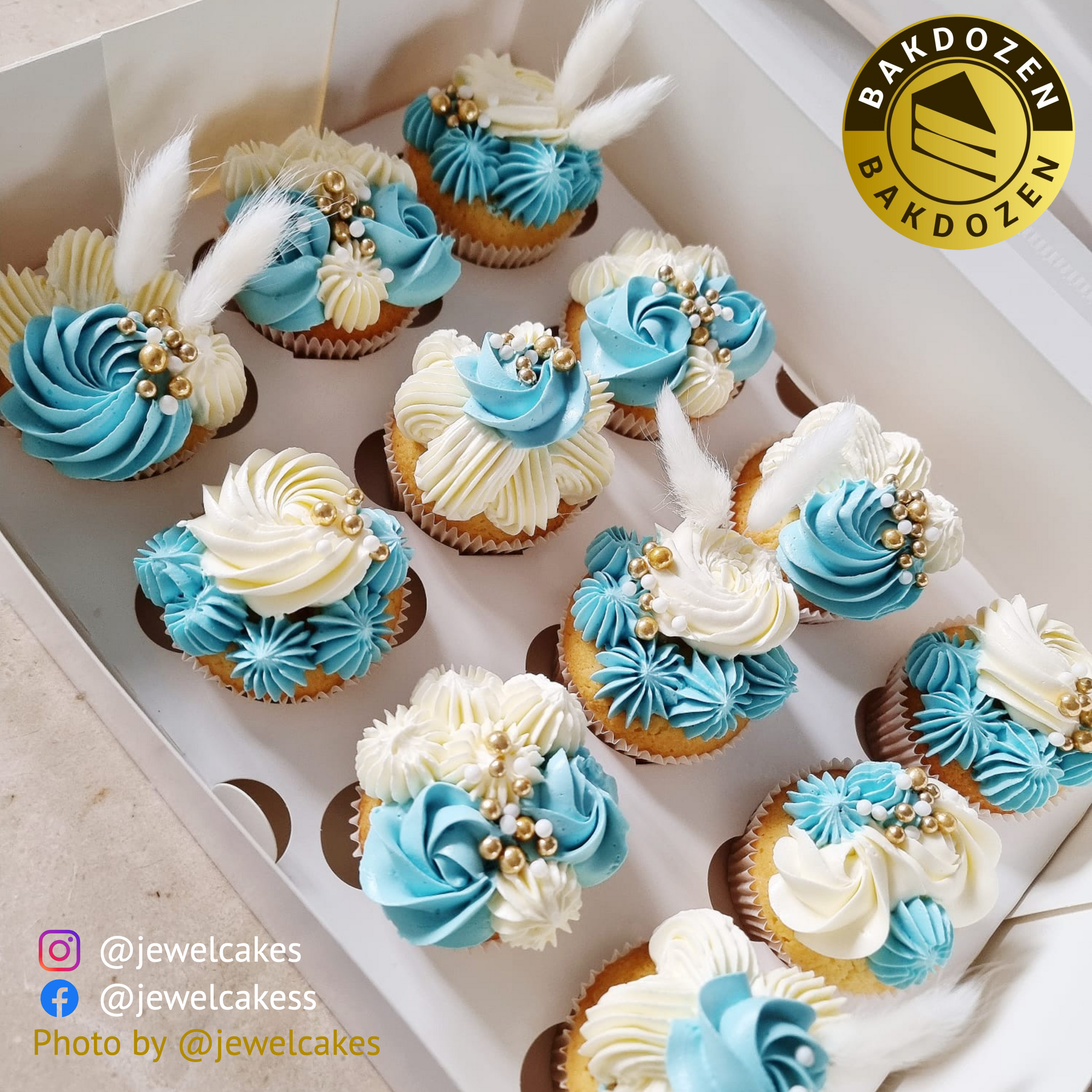 Cupcake Box with Transparent Window